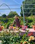 Lunch & Flower Picking at Cooke's House Flowers, West Sussex. Wednesday 3rd September 2025