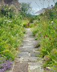 Lunch & Flower Picking at Cooke's House Flowers, West Sussex. Wednesday 3rd September 2025
