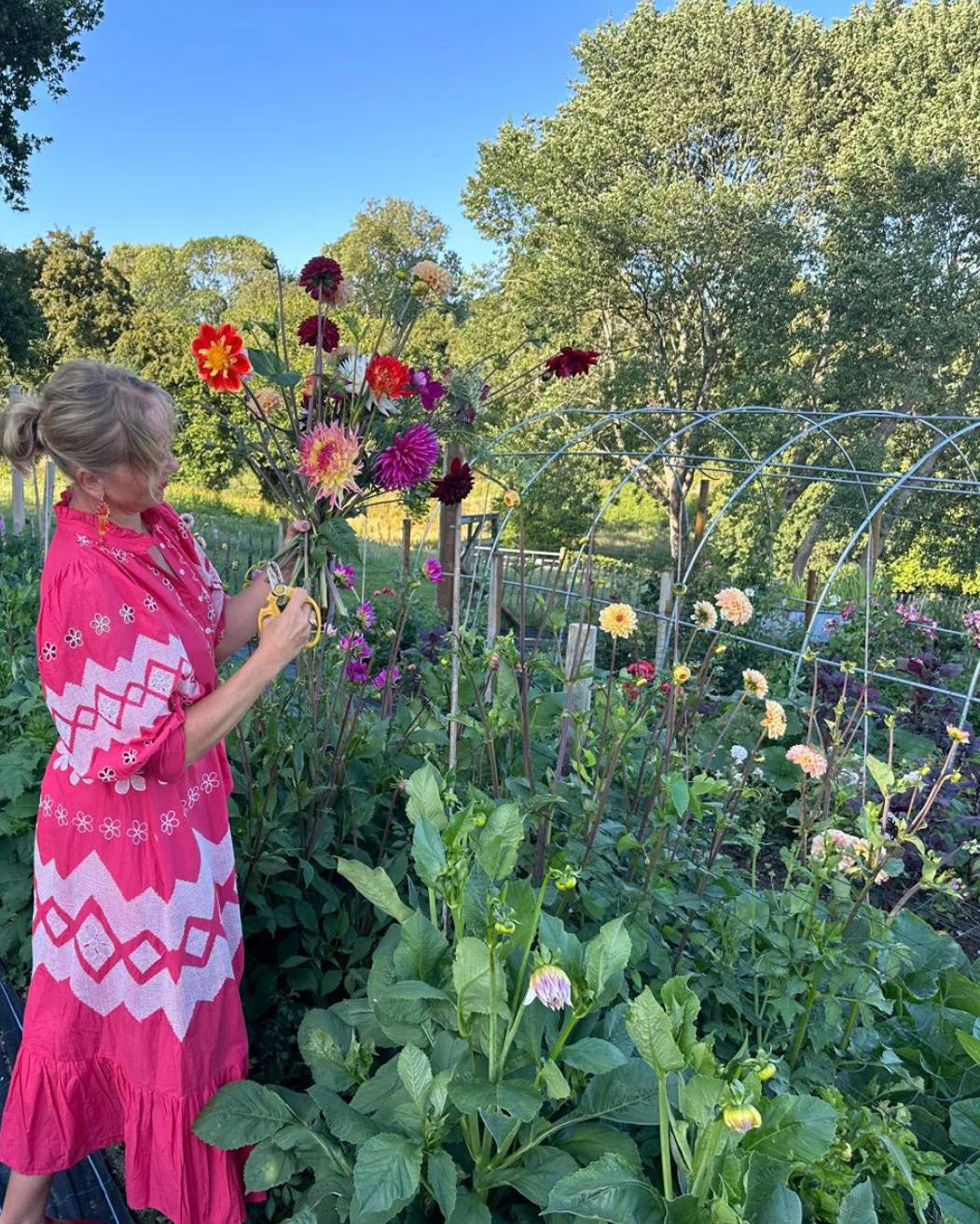 Lunch &amp; Flower Picking at Cooke&#39;s House Flowers, West Sussex. Wednesday 3rd September 2025