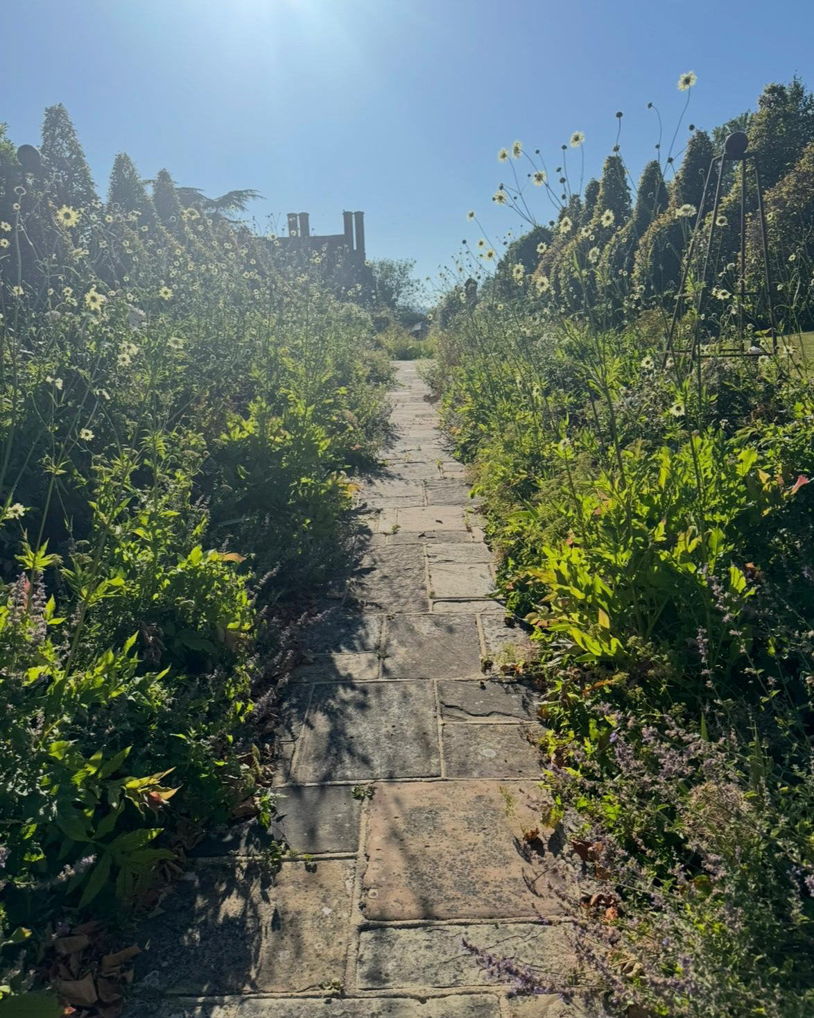 Lunch &amp; Flower Picking at Cooke&#39;s House Flowers, West Sussex. Wednesday 3rd September 2025