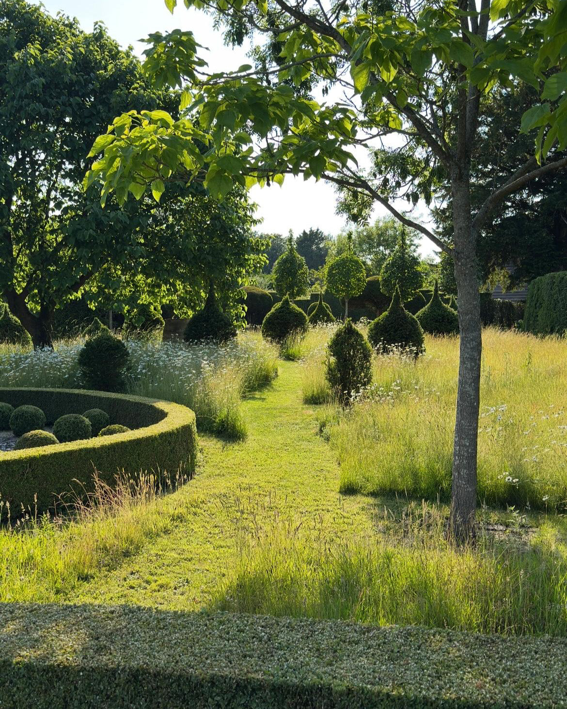 Lunch &amp; Flower Picking at Cooke&#39;s House Flowers, West Sussex. Wednesday 3rd September 2025