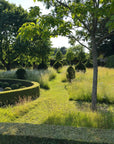 Lunch & Flower Picking at Cooke's House Flowers, West Sussex. Wednesday 3rd September 2025